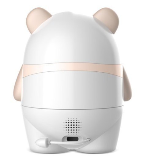 5794 AMI NIANIA BEZPRZEWODOWA VIDEO IP