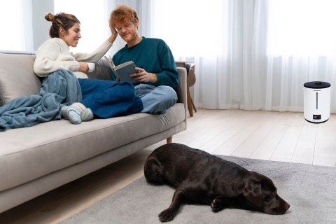 Nawilżacz powietrza filtr odkamieniający aromaterapia pilot timer podświetlenie Bauerkraft