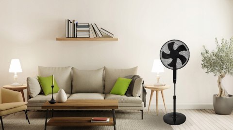 Wentylator podłogowy wiatrak stojący 5 łopatek mocny cichy timer pilot 3 tryby regulacja 45W czarny Bauerkraft