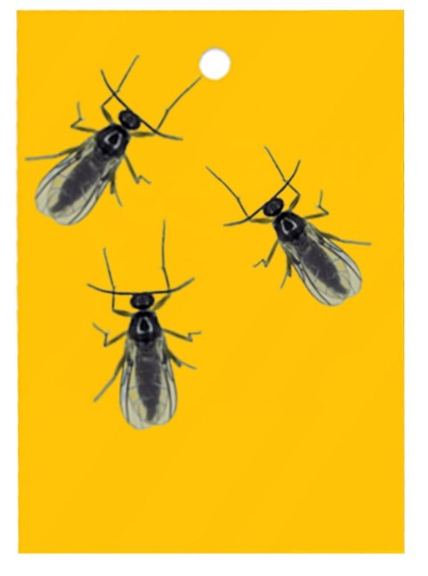 BROS - lep do doniczek żółty 10szt