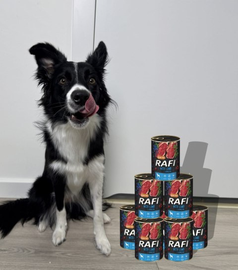 Karma Mokra Dla Psów RAFI z Jagnięciną, Borówką i Żurawiną 400g - 6 szt.