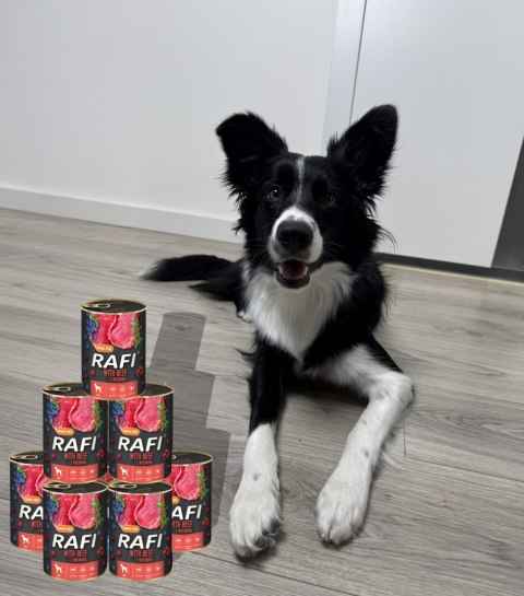 Karma Mokra Dla Psów RAFI z Wołowiną, Borówką i Żurawiną 400g - 12 szt.