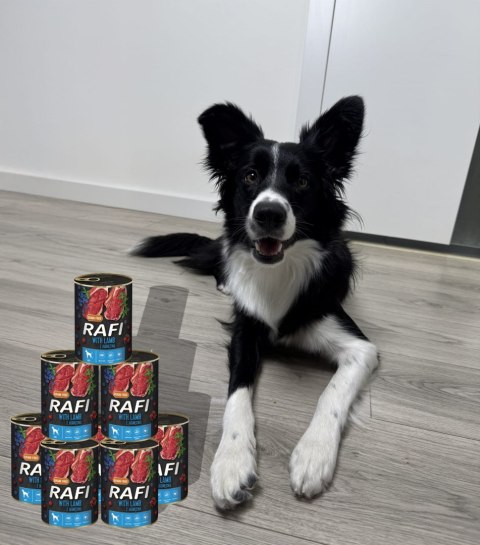 Zestaw 12x400g Karma Mokra Dla Psów RAFI MIX Smaków (Jagnięcina, Wołowina)