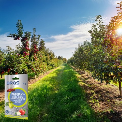 BROS - Miedzian 50WP 15g