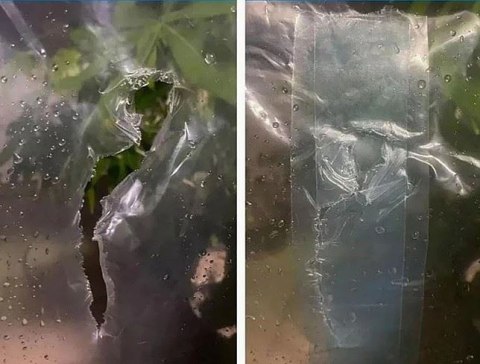 Taśma do folii szklarniowej naprawcza 50mmx10m transparentna