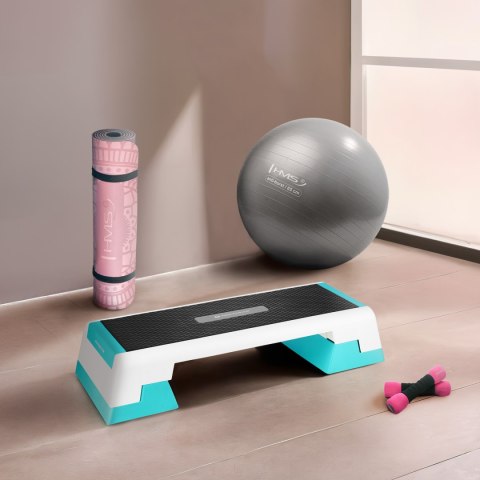 AS007 WHITE/MINT STEP DO AEROBIKU HMS PREMIUM