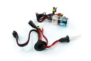 01418 HID Żarnik H1 8000K xenonowy