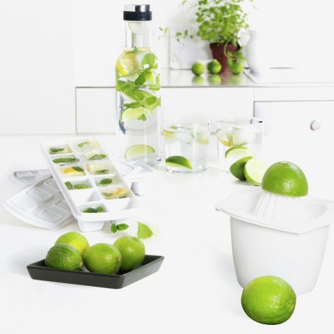 Tacka na kostki lodu z pokrywką Plast Team biała