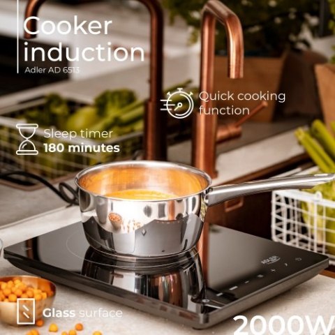 AD 6513 Kuchenka indukcyjna