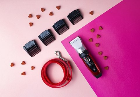 CR 2821 Strzyżarka dla zwierząt z ładowaniem przez usb