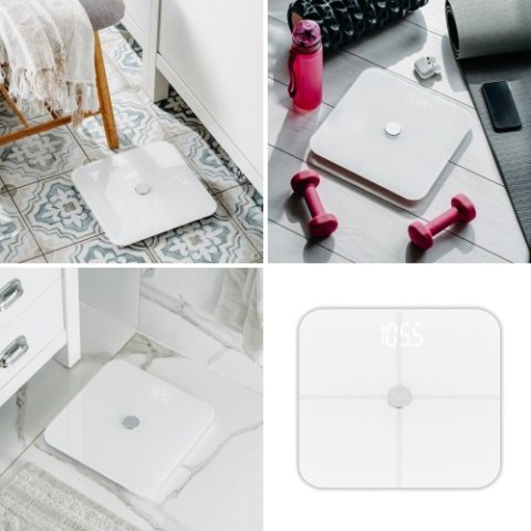 AD 8187 White Waga łazienkowa analityczna ? smart - aplikacja fitgo