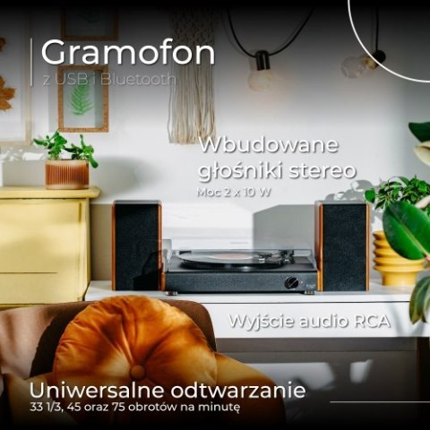 AD 1915 Gramofon z usb i bluetooth
