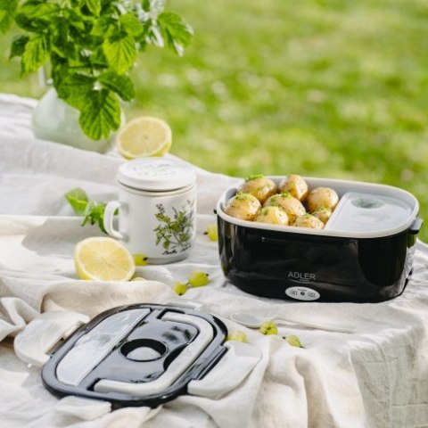 AD 4521 Pojemnik na żywność z torbą termiczną 5 litrów | do auta i domu (12v / 230v)