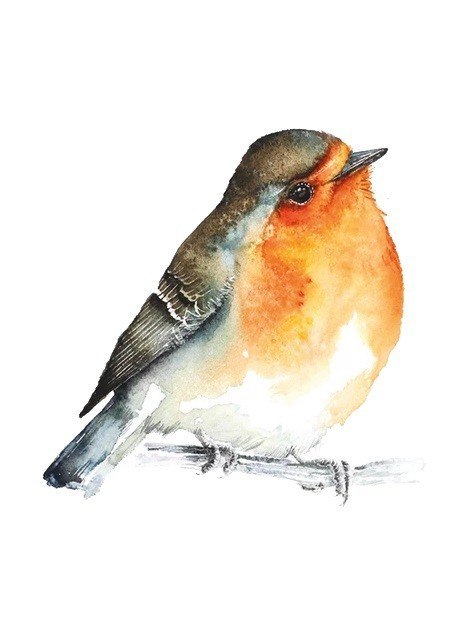 Gra Łąka (meadow) pl