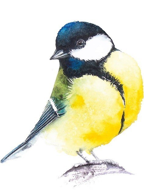 Gra Łąka (meadow) pl