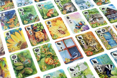 Gra Łąka (meadow) pl