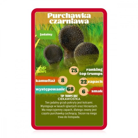 Gra karciana top trumps grzybobranie