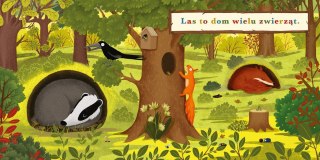 Książeczka rok w lesie. borsuk