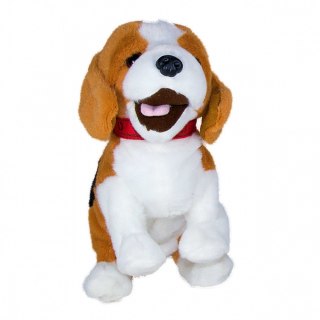 Maskotka interaktywna figo pies reagujący na komendy beagle