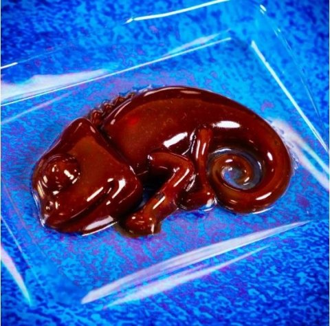 Zestaw naukowy crazy science slime kameleon