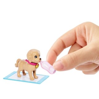 Lalka barbie adopcja piesków