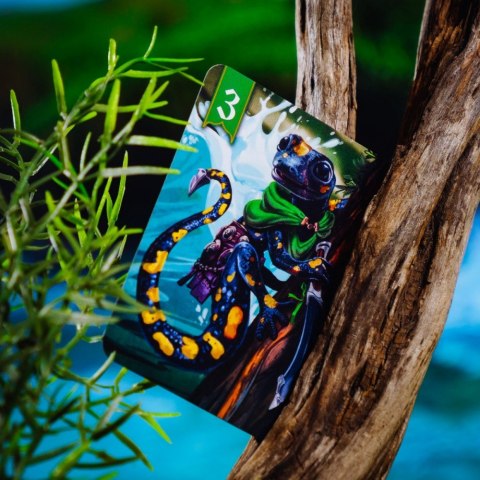 Gra spór o bór 2. na tamę marsz!