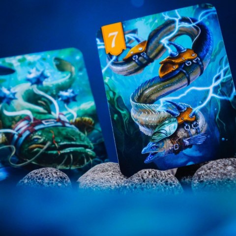 Gra spór o bór 2. na tamę marsz!