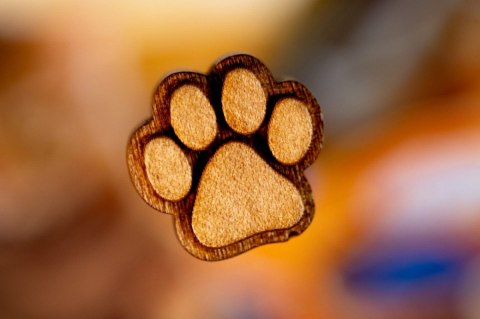 Gra printing press (pl)