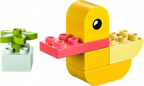 Klocki duplo 30673 moja pierwsza kaczuszka 4 w 1