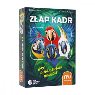 Gra złap kadr