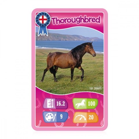 Gra karciana top trumps konie, kucyki i jednorożce