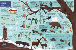 Książeczka co jest w środku? pory roku