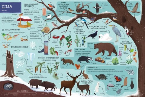 Książeczka co jest w środku? pory roku