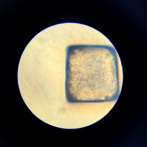 Mikroskop im a genius