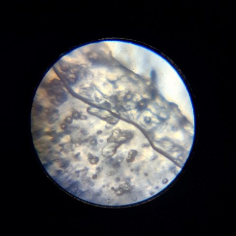 Mikroskop im a genius