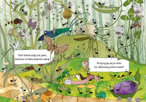 Książeczka opowiem ci mamo, co robią mrówki