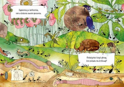 Książeczka opowiem ci mamo, co robią mrówki