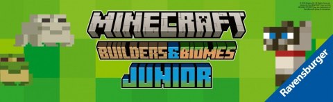 Gra minecraft builders and biomes junior