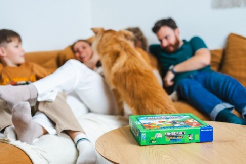 Gra minecraft builders and biomes junior