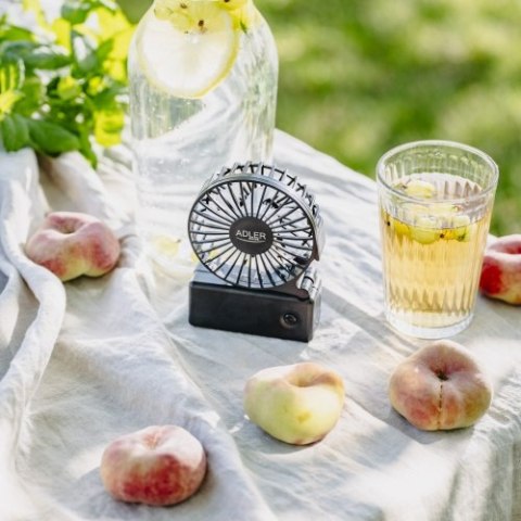 AD 7336 Wentylator przenośny | składana rączka | na baterie aa