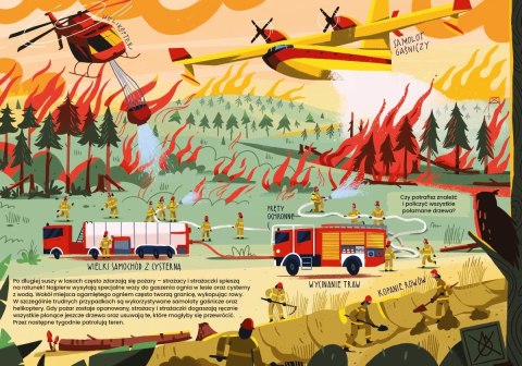 Książeczka co robią strażacy i strażaczki