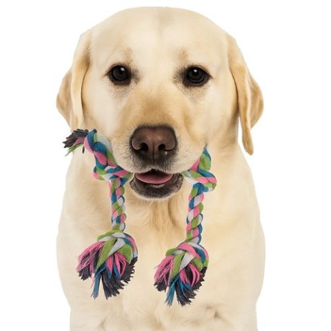 Gryzak, szarpak dla psa - zestaw 25384