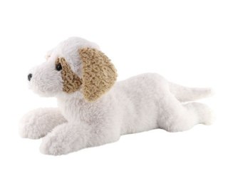 Maskotka pies hawańczyk leżący 60 cm