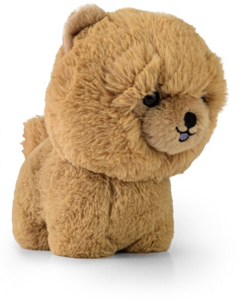 Maskotka teddy pets chow chow