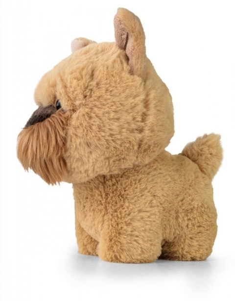 Maskotka teddy pets gryfonik brukselski