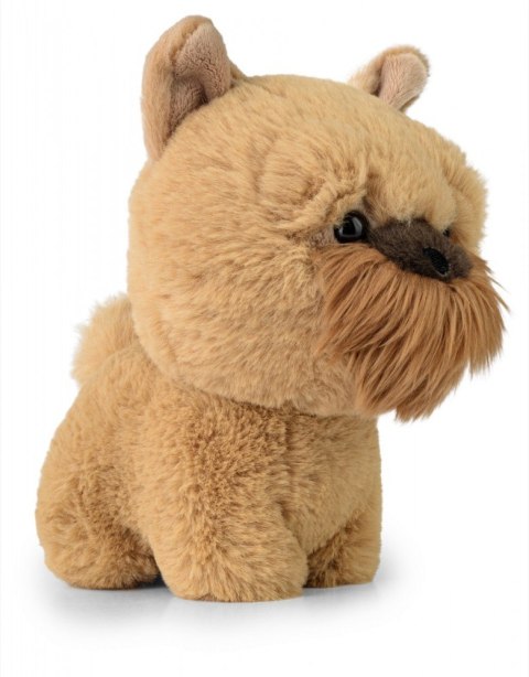 Maskotka teddy pets gryfonik brukselski