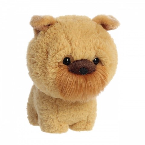 Maskotka teddy pets gryfonik brukselski