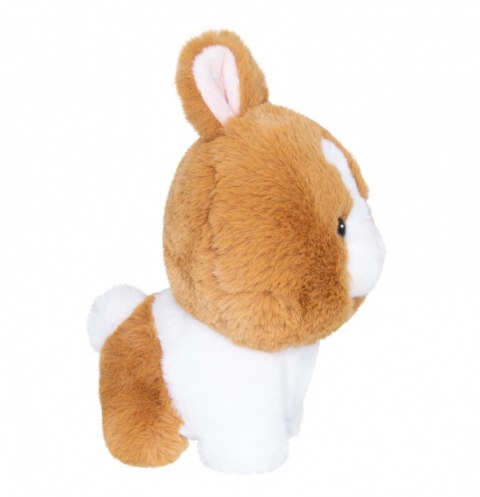 Maskotka teddy pets króliczek złoty