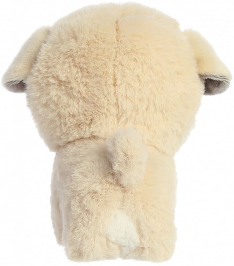 Maskotka teddy pets pekińczyk