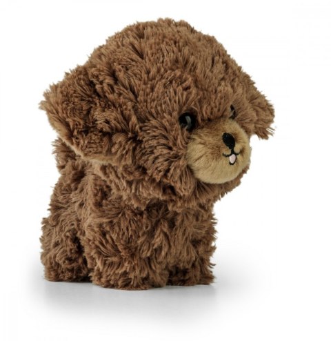 Maskotka teddy pets szczenię pudla